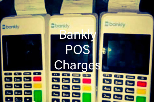 Bankly POS: Charges and Commission